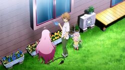 Rito watering the plants in his house before going to school with Lala