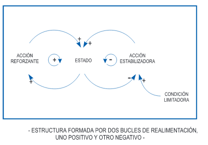 bucle de retroalimentación negativa