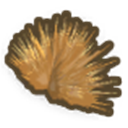 Spinifex Tuft