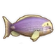 Inv Eyestripe Surgeonfish.png (16 KB) Eyestripe Surgeonfish Northern Ocean Day Summer Spring