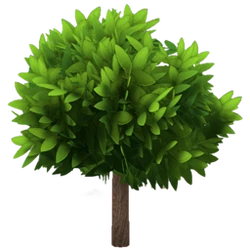 Plants | Dinkum Wiki | Fandom