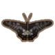 Inv Swallow-Tail Butterfly