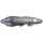 Inv Lungfish