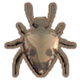 Stinkbug Everywhere Any Time Autumn