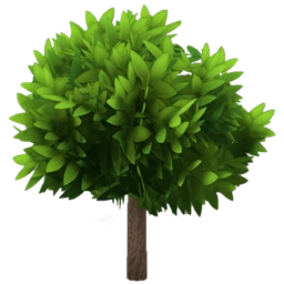 Small Lilly Pilly Tree