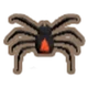 Inv Redback Spider