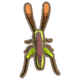 Meadow Katydid Plains, Morning Day Autumn Spring