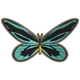 Inv Birdwing Butterfly