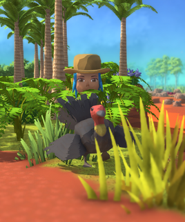 Scrub Turkey Tropics