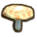 Milk Cap