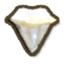 Alpha Shark Tooth