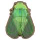 Cicada Bushlands, Plains Morning Day Summer Spring