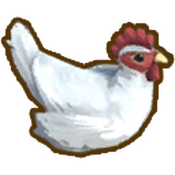 Chook Dinkum Wiki Fandom