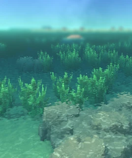 Southern Ocean Biome