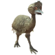 Mu Plains