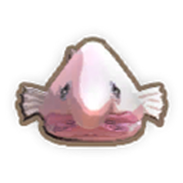 Blob Fish