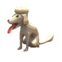 Poodle