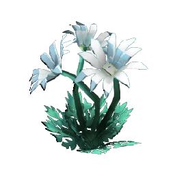 Flannel Flower