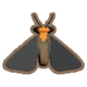 Firefly Everywhere Night Any Season