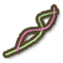 Bright Wire
