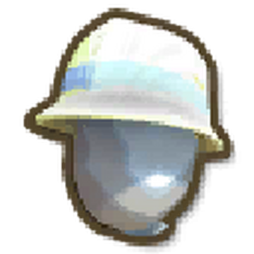 Beach Boy Beanie, Roblox Wiki