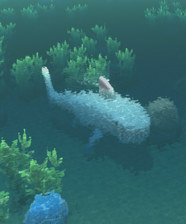 Shark Ocean