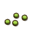 Tropical Grass Seed