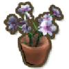 Butterfly Orchid Pot NPC Jobs Melvin Furniture Recycling Bin