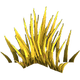 Grass