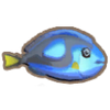 Clown Fish, Dinkum Wiki