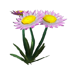 Pink Paper Daisy