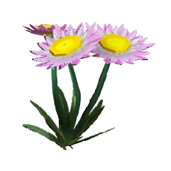 Plants | Dinkum Wiki | Fandom
