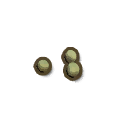 Fern Seed