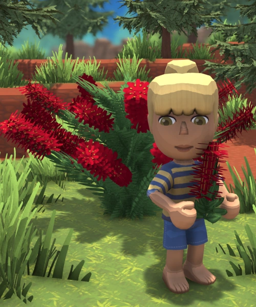 Bottle Brush Dinkum Wiki Fandom