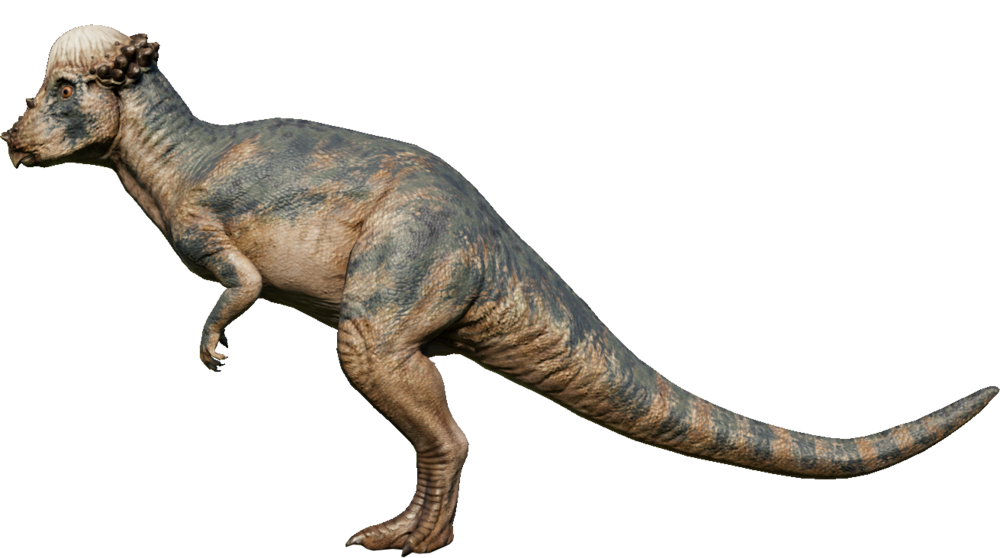 Pachycephalosaurus Dino Jurassic Squad Wiki Fandom 0316