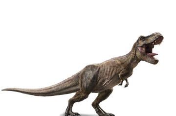 zoologist tyranosaurus rex ズーロジスト Zoologist Tyrannosaurus Rex Sample