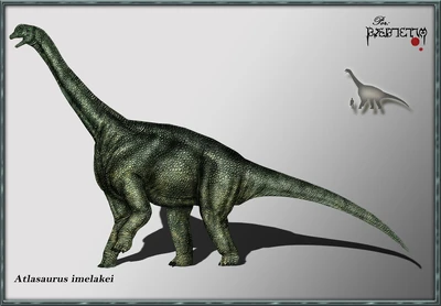 Atlasaurus