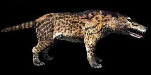 Andrewsarchus