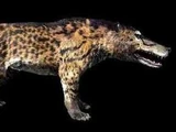 Andrewsarchus
