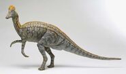 Corythosaurus 1126281