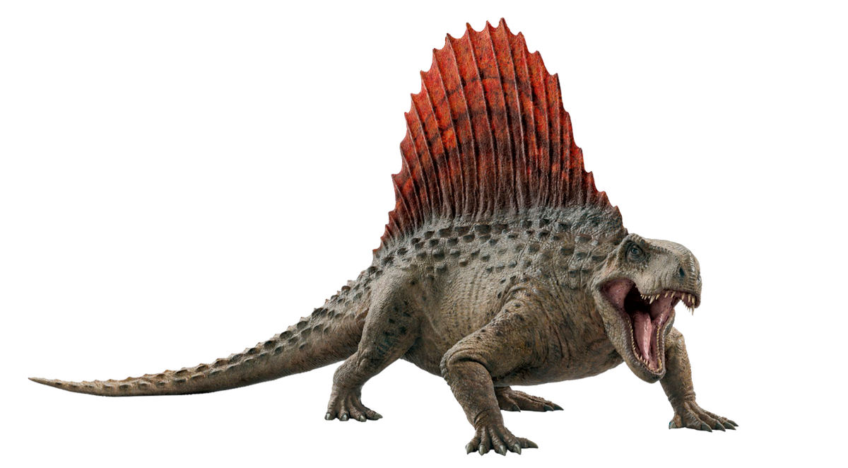 Dimetrodon Dinosaur Wiki Fandom 