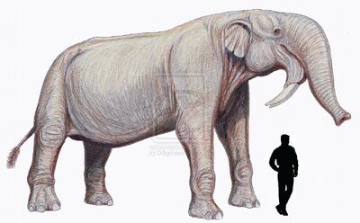 Deinotherium2