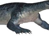 Nothosaurus