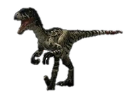 WWD Dromaeosaurus render.png