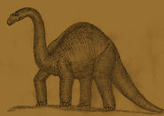 Brontosaurus summerleensis by Adiraiju.