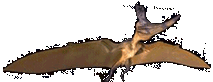 Geosternbergia.gif