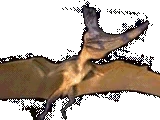 Geosternbergia