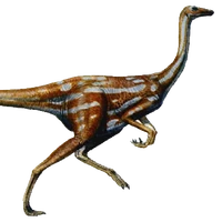 ornithomimus dinosaur wiki fandom ornithomimus dinosaur wiki fandom