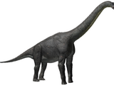 Alamosaurus