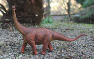 Alamosaurus collecta